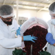 Medellín será sede del I Congreso Internacional sobre Innovaciones para la Agroindustria Rural