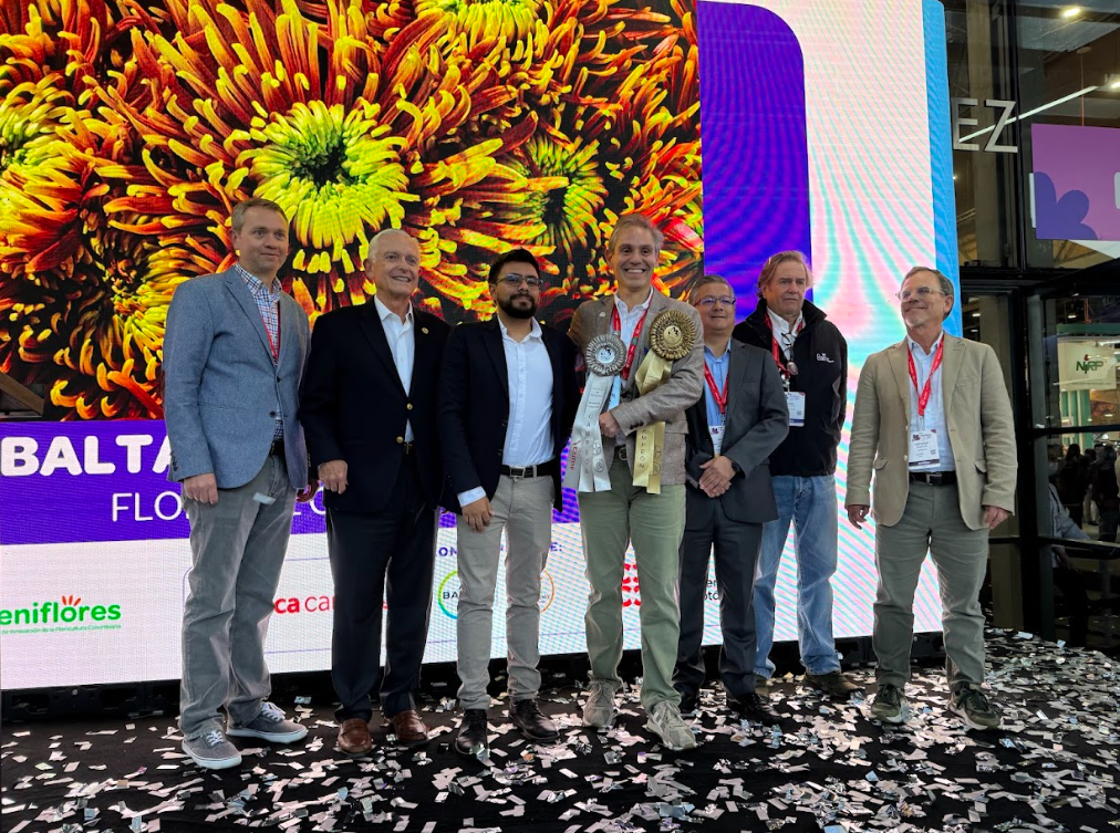 Las flores colombianas reafirmaron en Proflora 2025 que son las mejores del mundo
