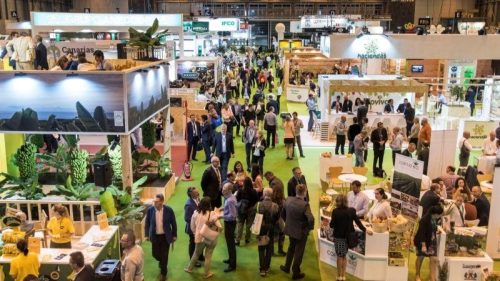 Fruit Attraction 2025: el agro latinoamericano brilló en Madrid