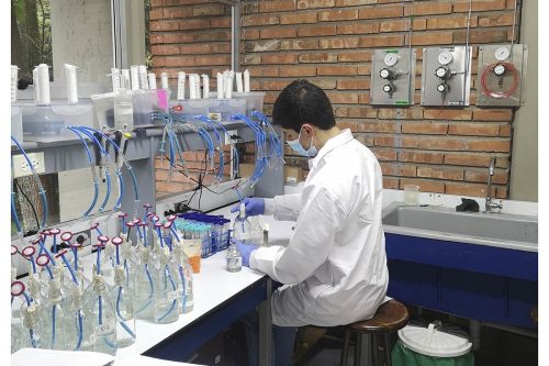 Estiércol de cerdo y bacterias serían grandes aliados para la producción sostenible de fertilizantes en Colombia – Redagrícola