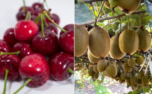 Herramientas para enfrentar el estrés y optimizar la productividad – Redagrícola