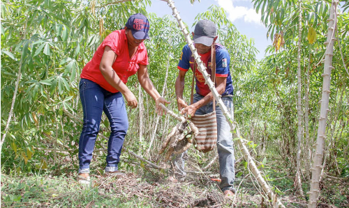 En Colombia establecen arancel del 0% para la importación de insumos agropecuarios