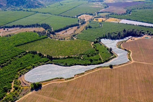 El modelo de farming corporativo