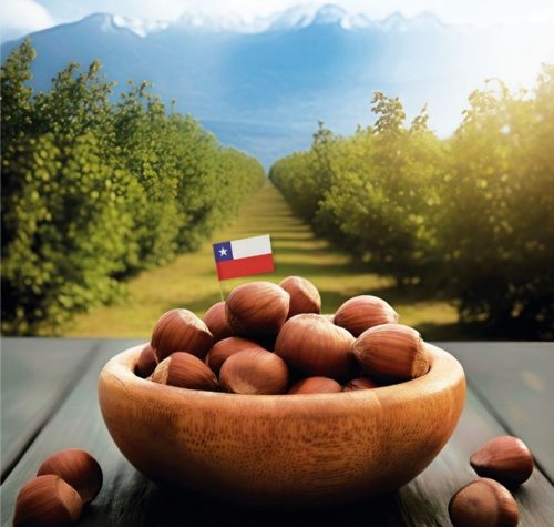 Futuro sonriente para la avellana europea en Chile