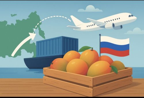 Consideraciones y reflexiones sobre la exportación de mangos a Rusia