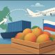 Consideraciones y reflexiones sobre la exportación de mangos a Rusia