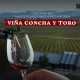 Redagrícola On The Road Chile: Concha y Toro diseña en Pencahue el viñedo del futuro