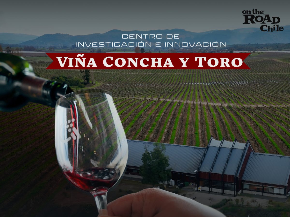 Redagrícola On The Road Chile: Concha y Toro diseña en Pencahue el viñedo del futuro