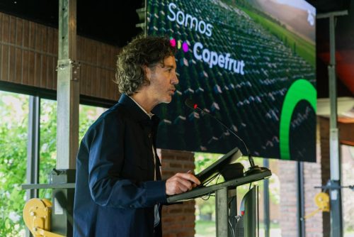 Copefrut inició la temporada de cerezas 2025/26