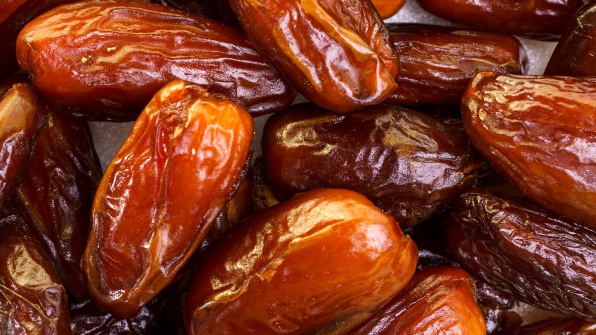 México y Emiratos Árabes impulsan al dátil con Festival Internacional de la Palma Datilera