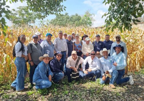 El Cimmyt de México y Fenalce firman acuerdo de cooperación para potenciar los sectores de cereales y leguminosas en Colombia