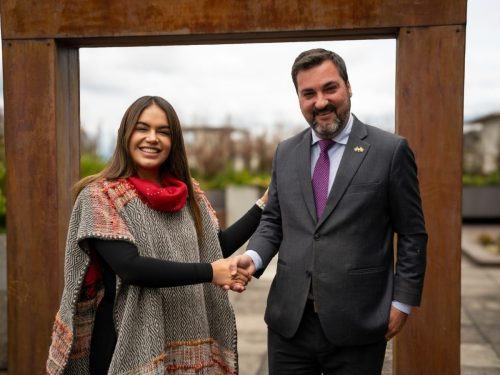 La piña colombiana llegará a conquistar el mercado brasileño