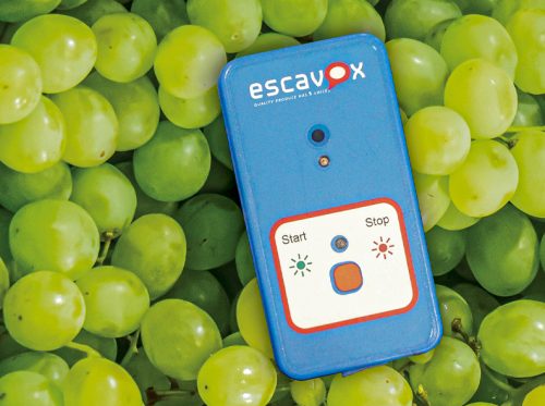 Escavox, la tecnología que lleva la visibilidad del tránsito frutícola a un nuevo nivel