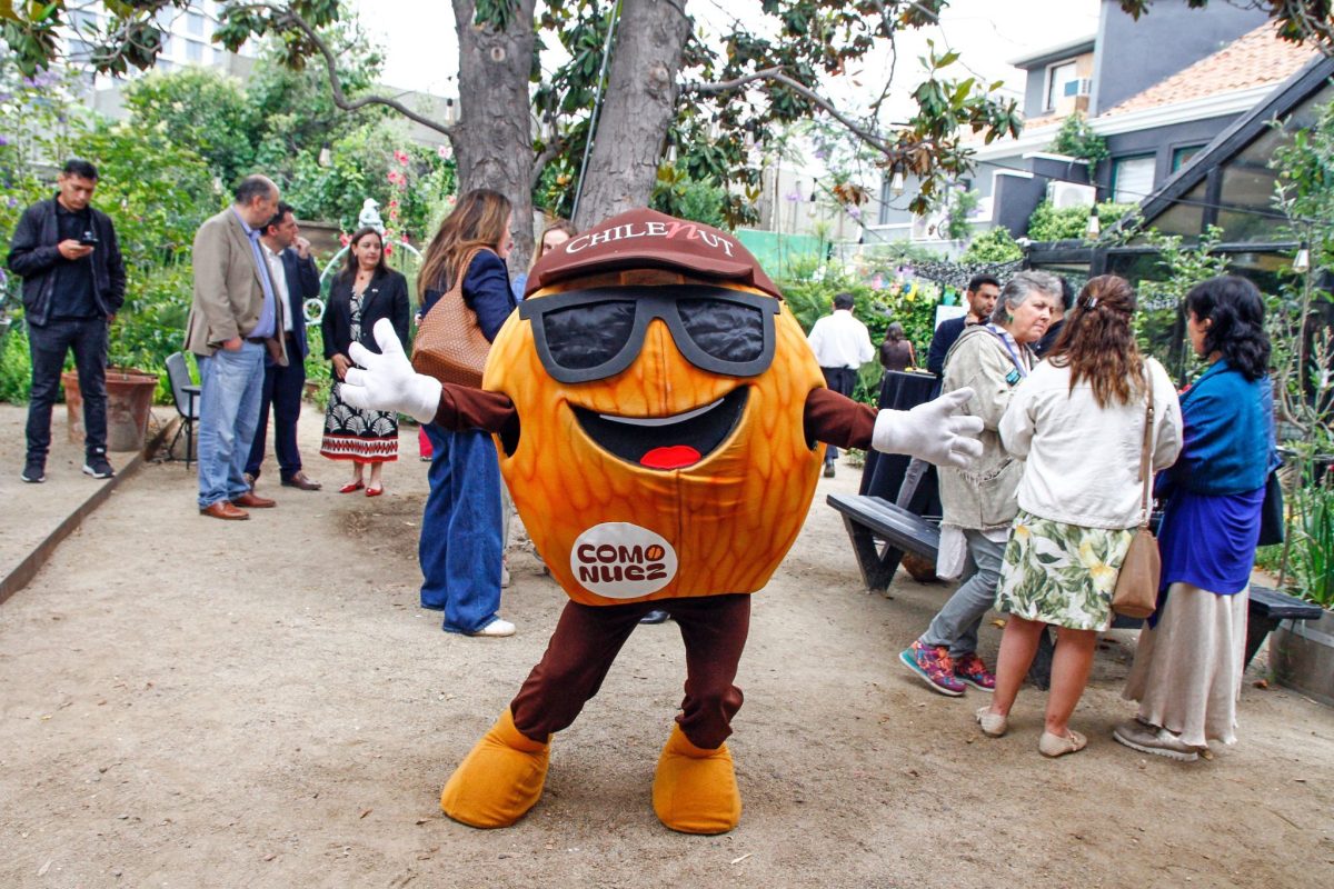 ‘Como Nuez’: la campaña que promueve el consumo interno del fruto en Chile
