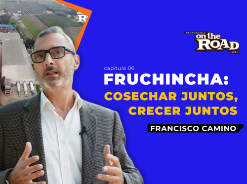 Fruchincha: cosechar juntos, crecer juntos
