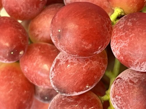 Asegurar color en una temporada compleja