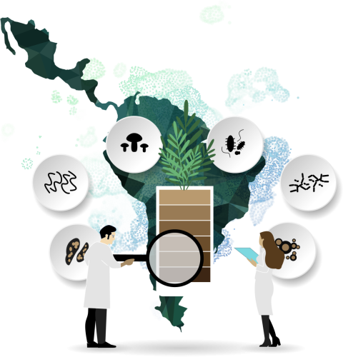 Latinoamérica, líder indiscutido en el crecimiento del mercado de bioestimulantes