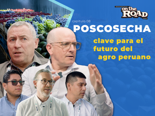 La poscosecha, clave en el futuro del agro peruano