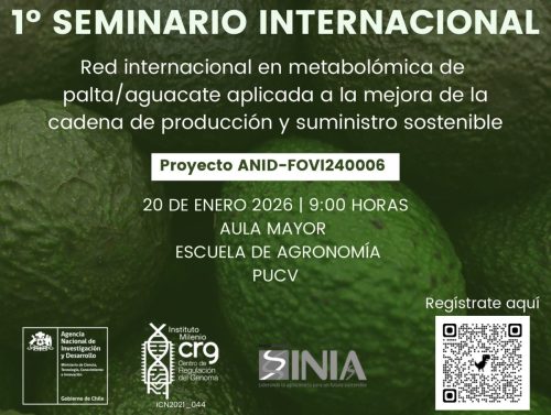 Seminario internacional abordará oportunidades y desafíos para la palta/aguacate