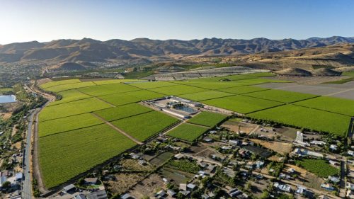 AgroFresh anuncia ajuste global de precios en respuesta al incremento de costos energéticos