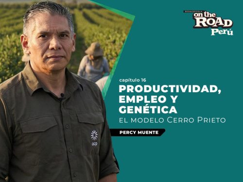 La hoja de ruta de Cerro Prieto