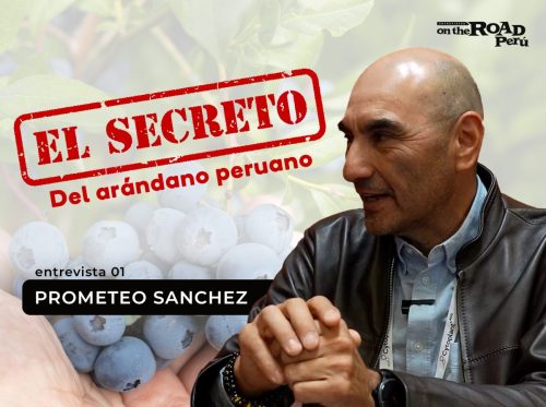 Cómo optimizar la nutrición y producción del arándano en Perú | Entrevista con Prometeo Sánchez