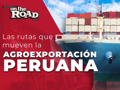 Expoalimentaria 2025: Innovación, logística y el futuro sostenible de la agroindustria peruana