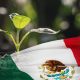 ¿Quién es quien en el ecosistema de  los bioinsumos en México?