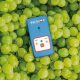 AgroFresh lanza el único paquete integral del mercado para maximizar la calidad y el retorno en uva de mesa