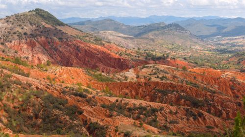 Científicos descubren "ejército" de bacterias benéficas para la agricultura en México
