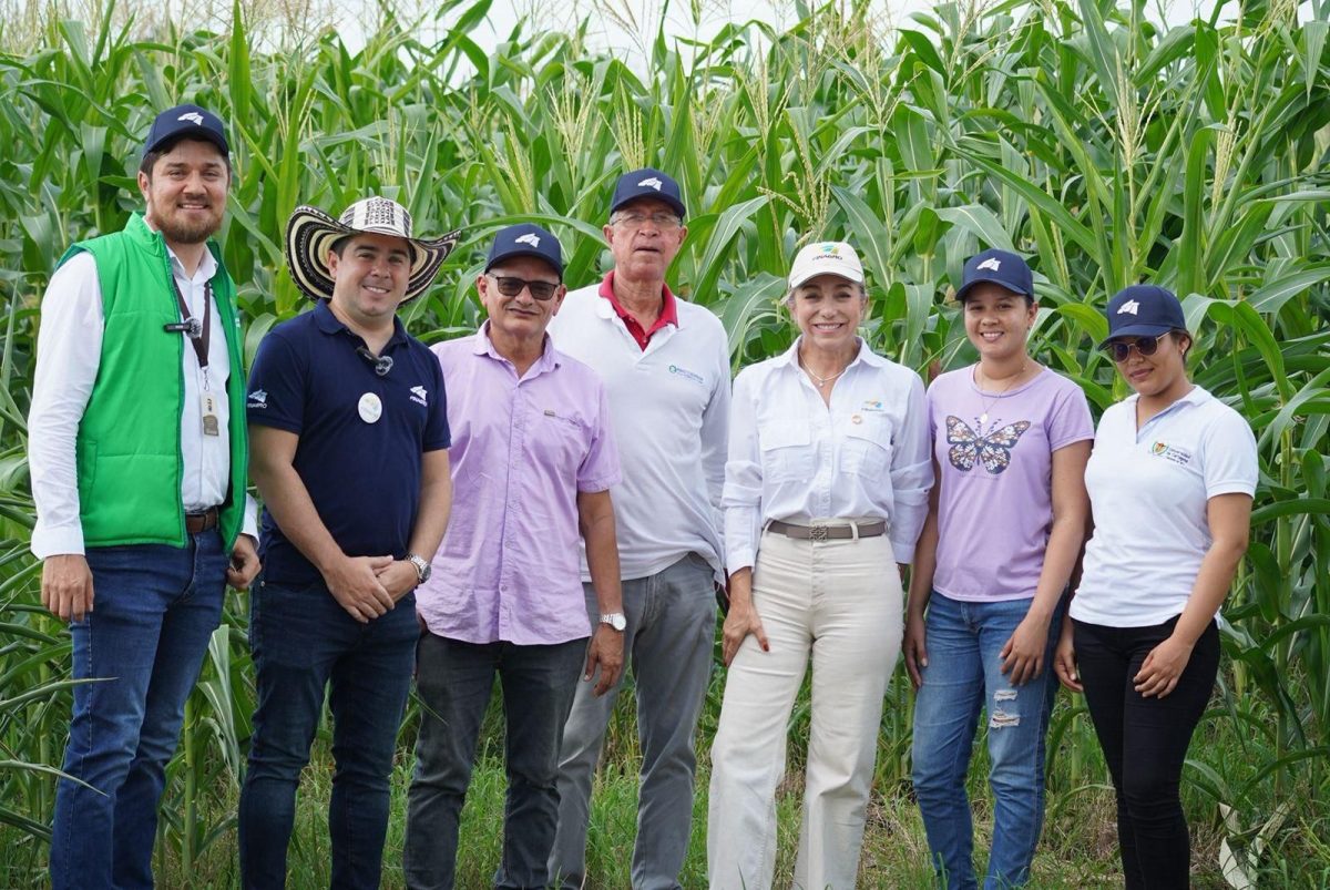 Récord de crédito agropecuario en Colombia: Finagro cerró 2025 con $48,1 billones