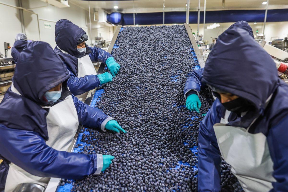 39 mercados más para el sector agropecuario: Perú refuerza su ofensiva comercial