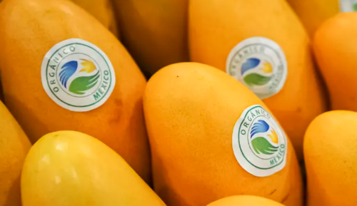 La producción de alimentos orgánicos en México mantiene su dinamismo