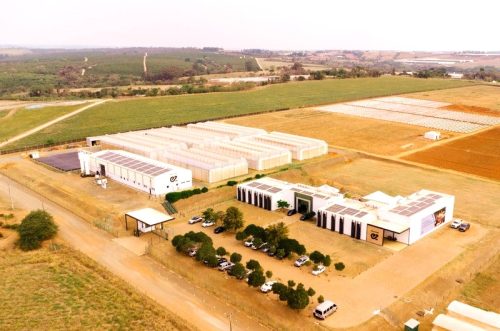 Enza Zaden y Pairwise anuncian colaboración para la investigación en mejoramiento de hortalizas