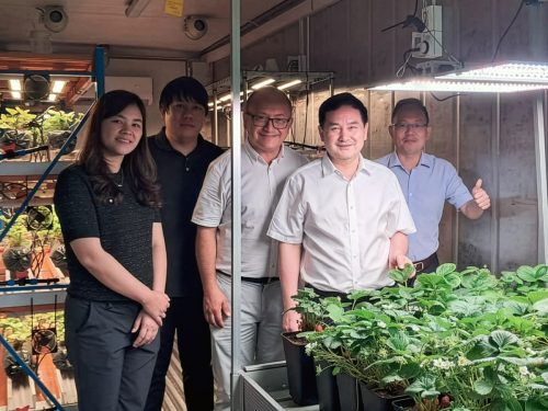 Avances de la agricultura vertical china en Chile: desde los costos de construcción y energía hacia la eficiencia operativa