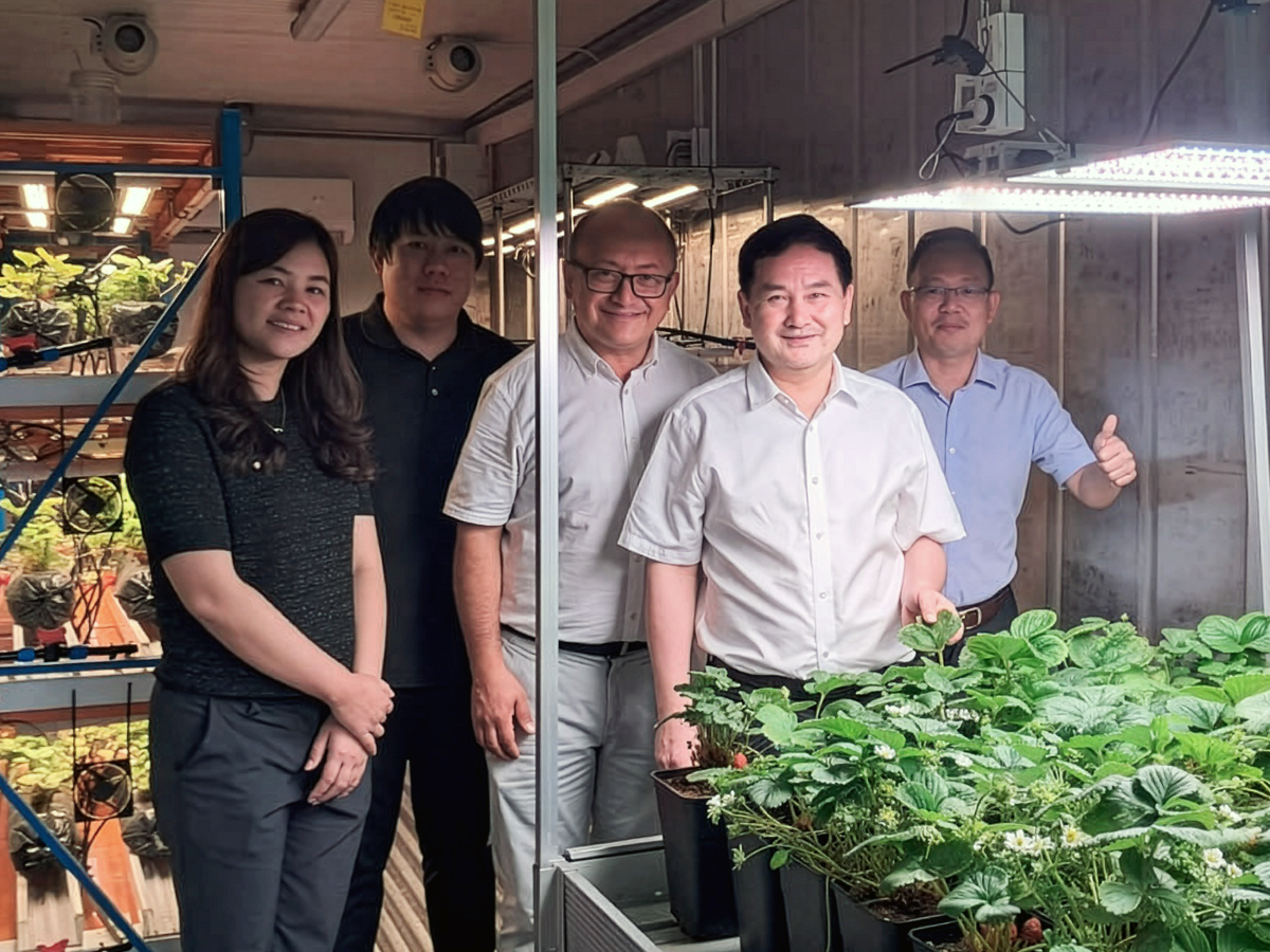 Avances de la agricultura vertical china en Chile: desde los costos de construcción y energía hacia la eficiencia operativa