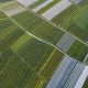 Innovación en bioestimulación agrícola: el valor de un proceso de extracción patentado