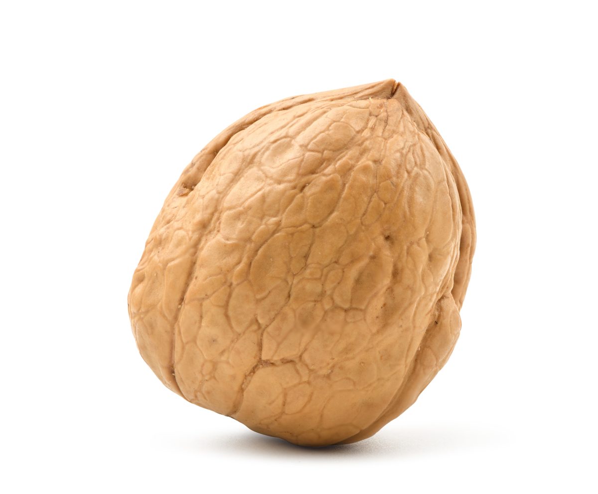 El ABC del manejo de riego en nogales