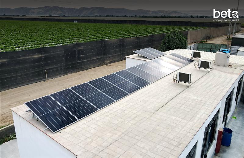 Beta implementa su primer sistema solar on-grid en planta de microorganismos