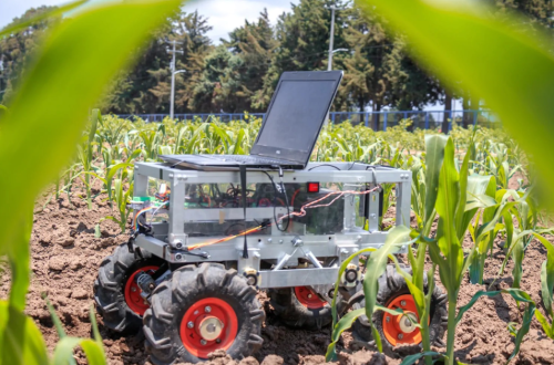 Robots agrícolas y nuevas variedades, entre las innovaciones de la Autónoma de Chapingo al servicio de la agricultura en México