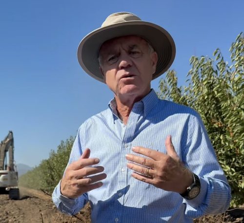 ¿Se ajusta la superficie de cereza? Presidente de SNA advierte necesidad de reconversión productiva