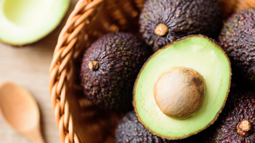 Países Bajos consolida su liderazgo como principal destino del aguacate Hass colombiano