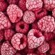 Proyectan escenario favorable para la frambuesa congelada peruana