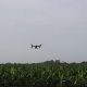 Bananeros colombianos implementan la fumigación con drones para el control de plagas y enfermedades