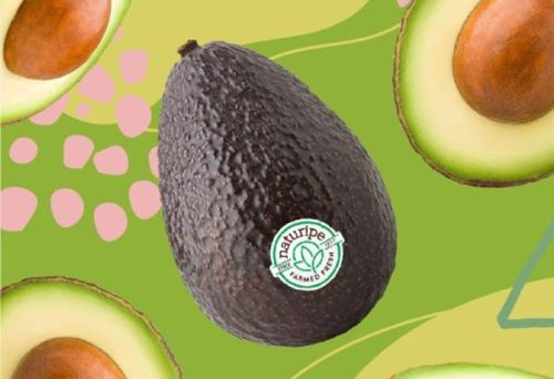 Naturipe Farms obtiene la certificación Pro-Forest para sus aguacates libres de deforestación