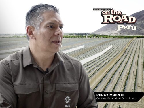 La agroindustria como motor de empleo, inversión y desarrollo para Perú