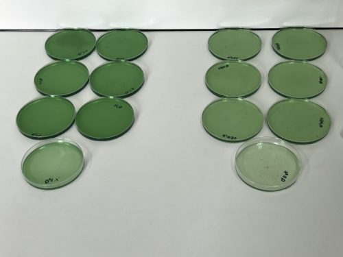 Revolución verde desde el Quindío: transforman residuos de plátano en nanocelulosa para generar empaques y sensores ecológicos