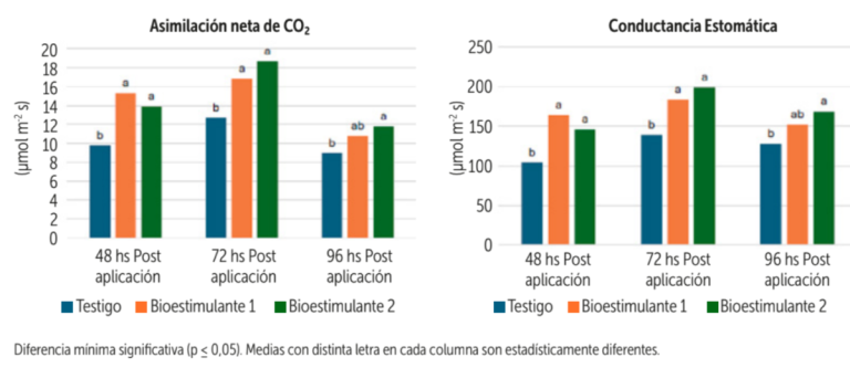 Figura 5. Cambios en asimilación neta de CO2 y conductancia estomática en W. Murcott tratada con bioestimulantes (Ascophyllum nodosum) en fase II de crecimiento del fruto.