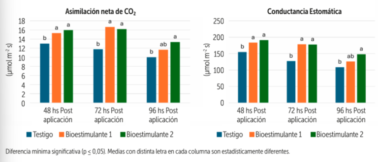 Figura 6. Cambios en asimilación neta de CO2 y conductancia estomática en W. Murcott tratada con bioestimulantes (Ascophyllum nodosum) en fase III de crecimiento del fruto.