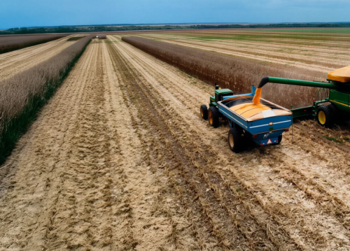 Colombia pierde terreno en el abastecimiento interno de cereales y leguminosas
